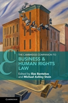 The Cambridge Companion to Business & Human Rights Law 