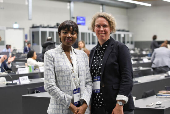 © ENB - IISD - Anastasia Rodopoulou