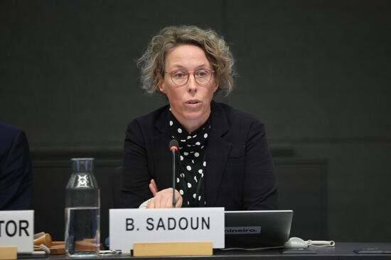 © ENB - IISD - Anastasia Rodopoulou