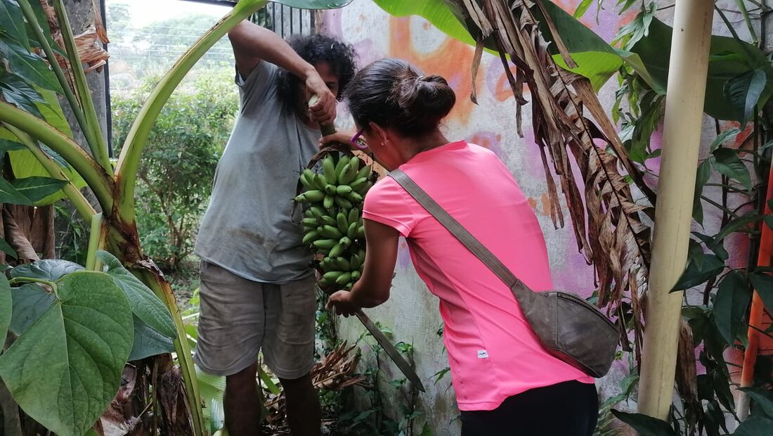 Lisa Picott Kaffeeernte